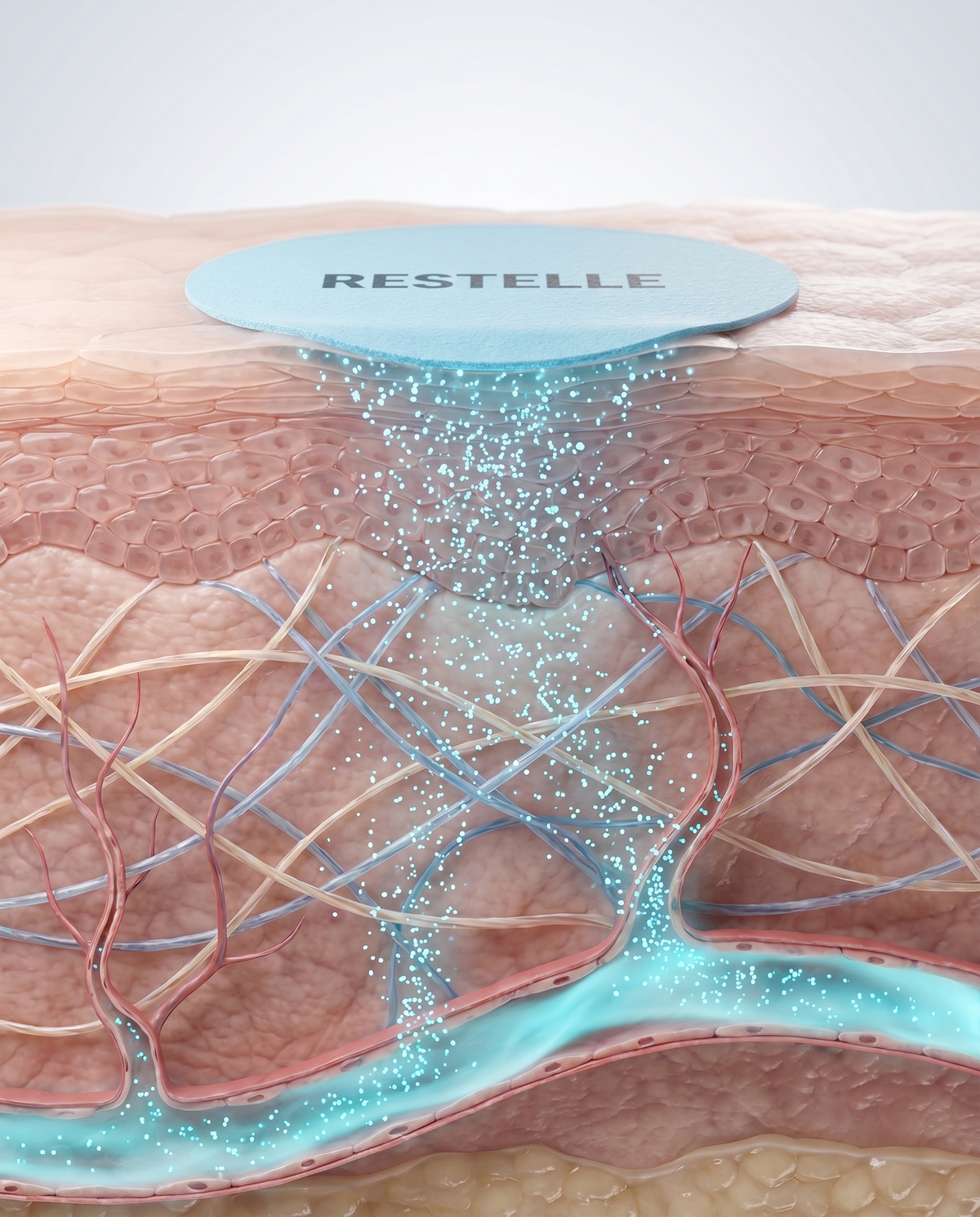 A cutaway showing the patch releasing through the layers of the skin.