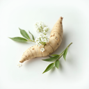 Valerian Root